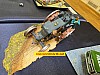 20250920_113811.jpg 20250920_113811.jpg